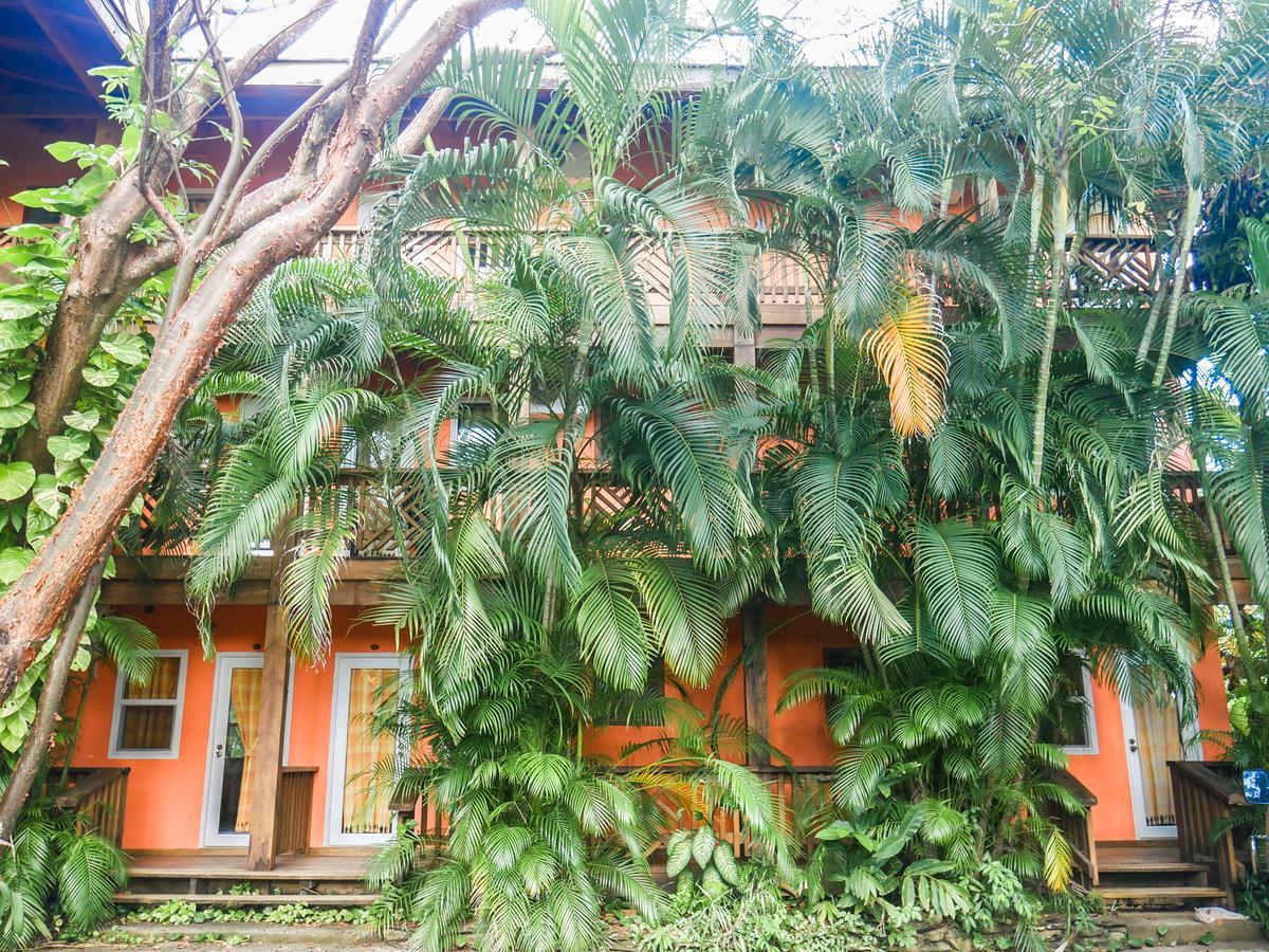 Hotel Posada Las Orquideas,West End Buitenkant foto