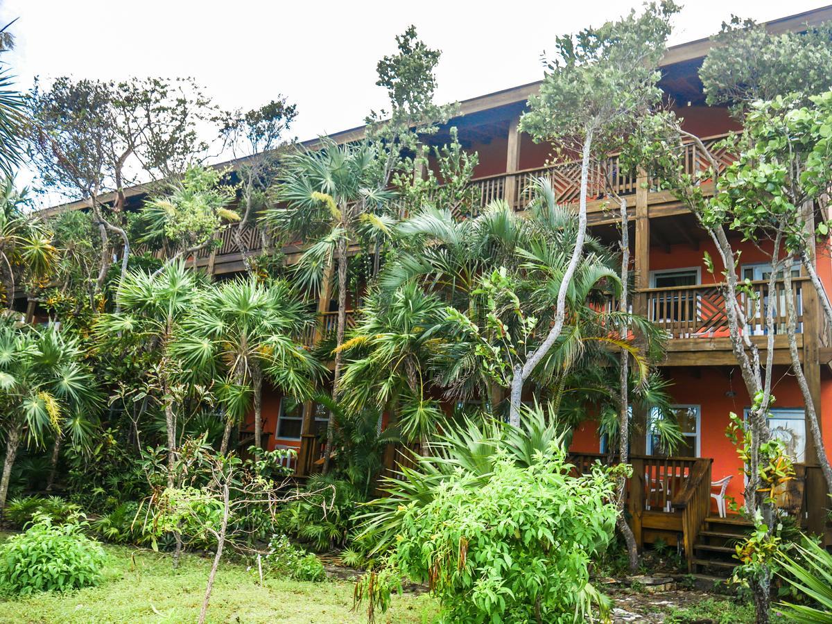 Hotel Posada Las Orquideas,West End Buitenkant foto