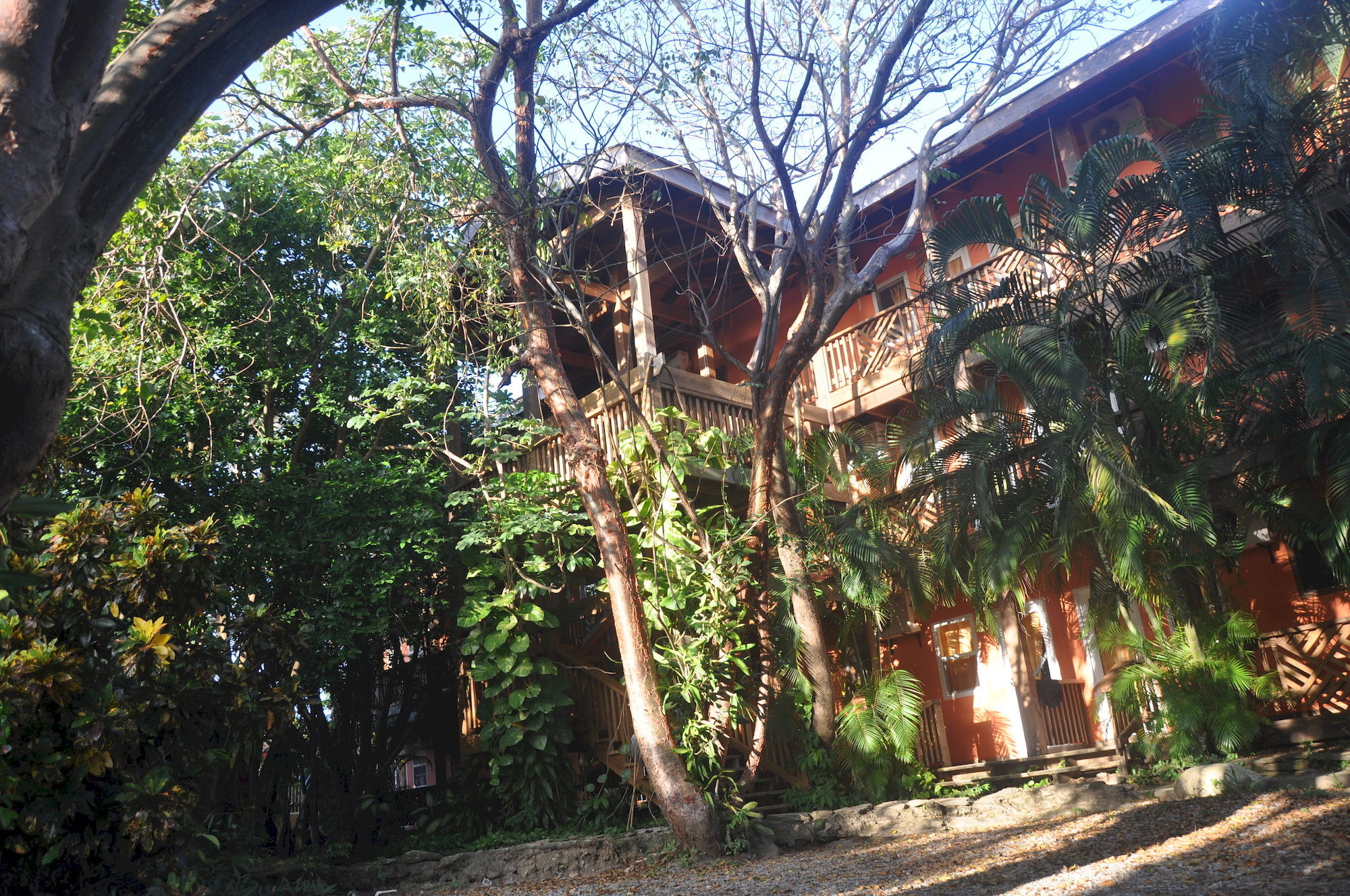Hotel Posada Las Orquideas,West End Buitenkant foto