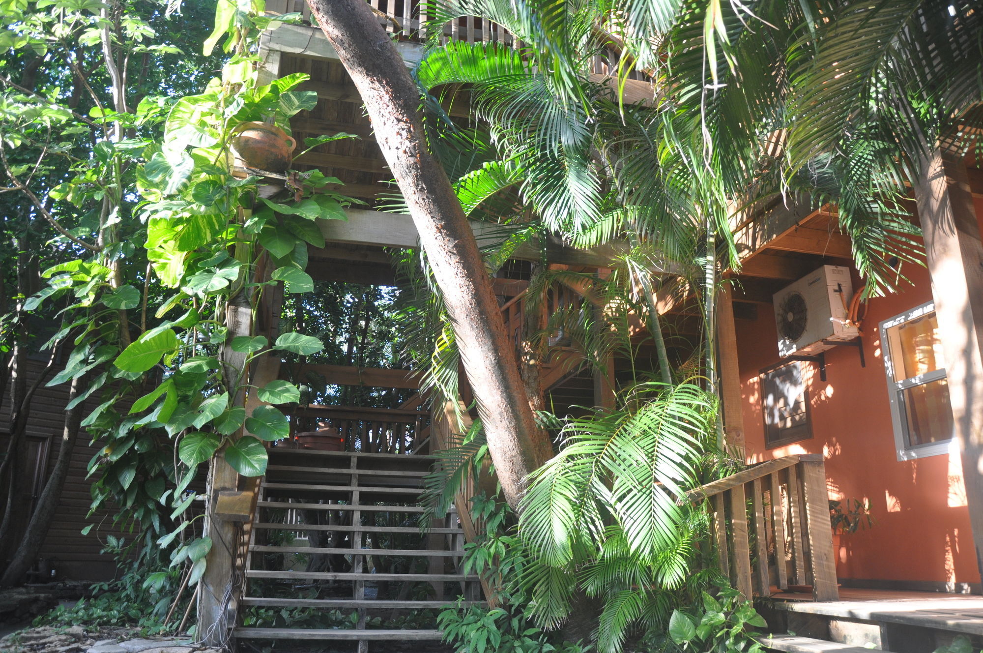 Hotel Posada Las Orquideas,West End Buitenkant foto