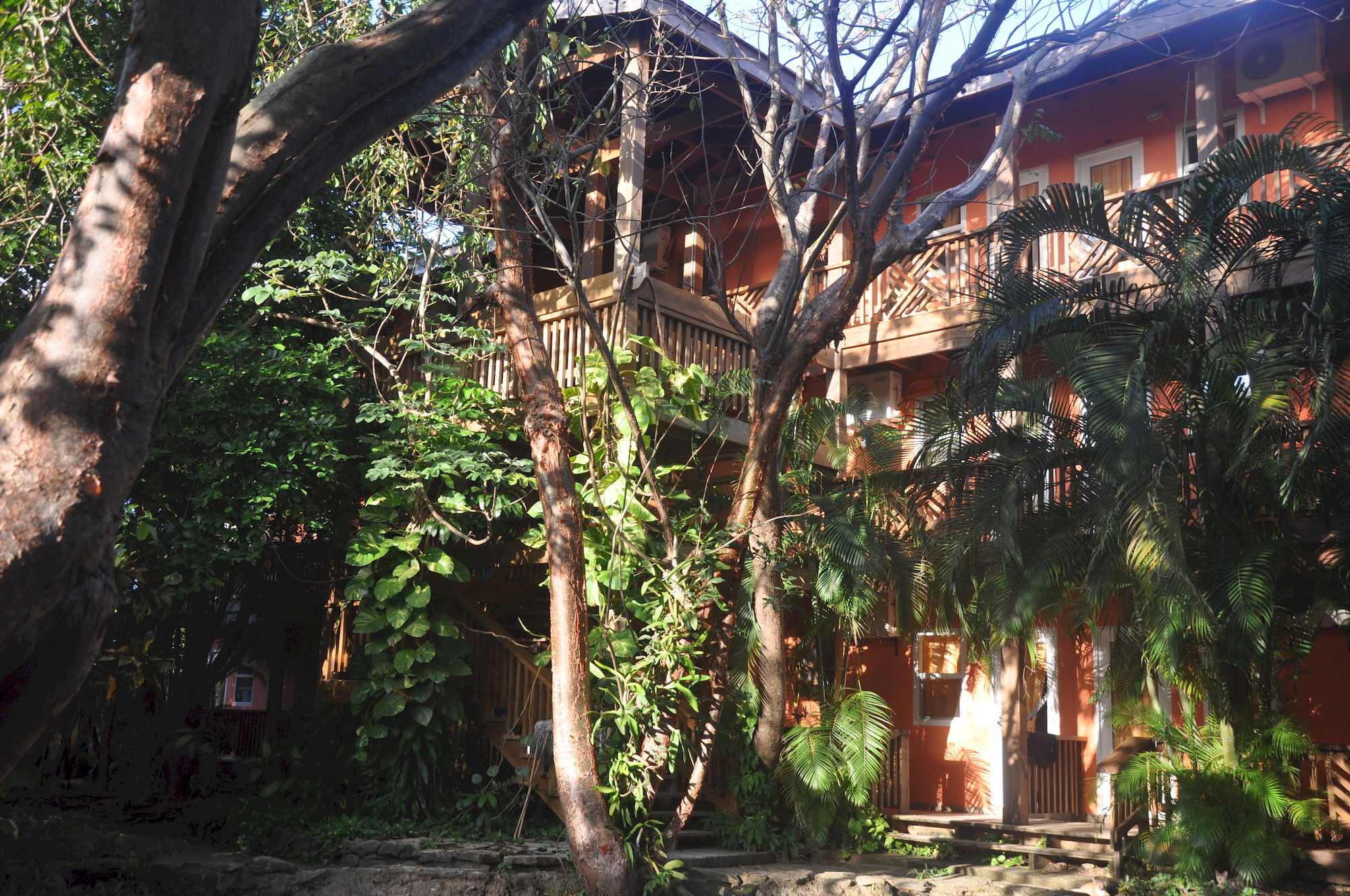 Hotel Posada Las Orquideas,West End Buitenkant foto
